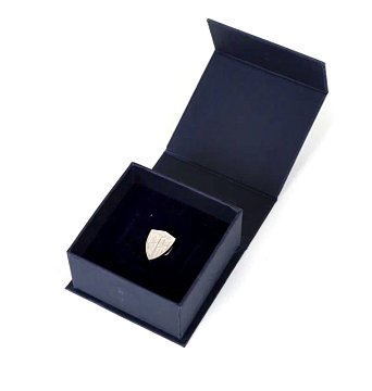 Значок серебряный (Пари НН)