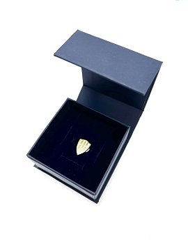 Значок серебряный (ФК НН)